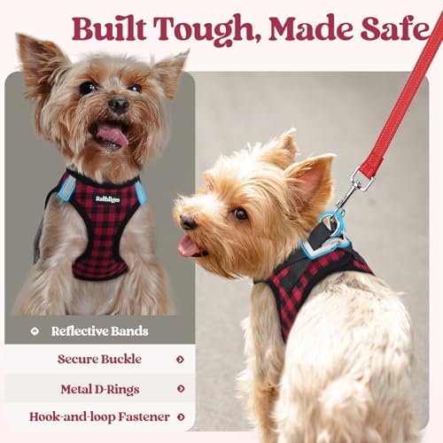 rabbitgoo Dog Harness Small Sized and Leash Set, Step-in Puppy Pet Vest - Image 5