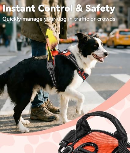 Joytale No Pull Dog Harness for Extra Large Dogs, Front Clip - Image 3