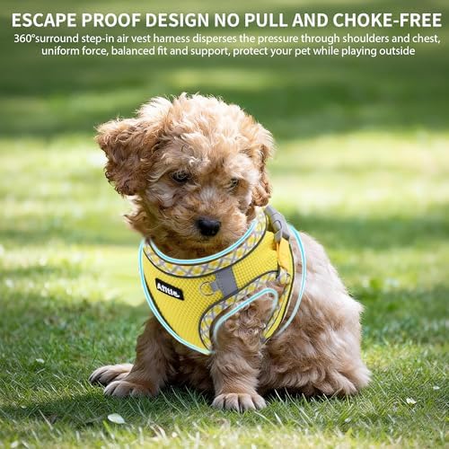 AIITLE Tiny Dog Harness and Leash Set, Step-in Vest - Image 3