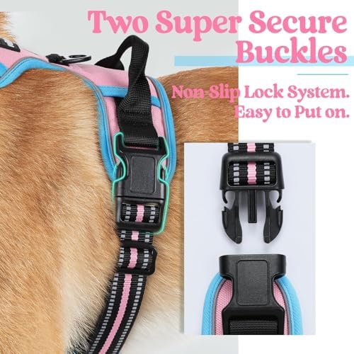 rabbitgoo Dog Harness, No Pull for Small Dogs - Image 4