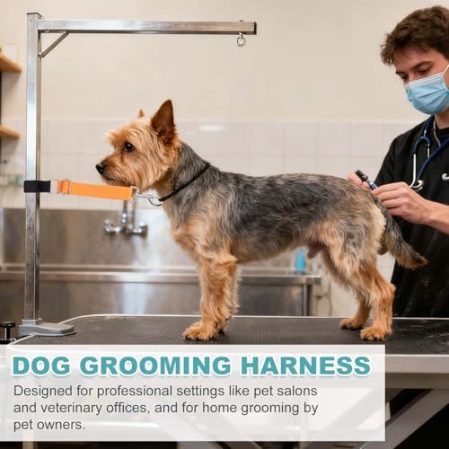 2Pcs Dog Grooming Loop, Adjustable, Fluorescent Green/Orange - Image 6
