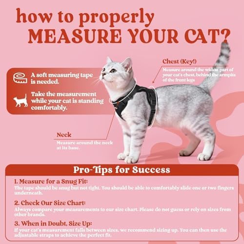 rabbitgoo Cat Harness and Leash Set, Escape Proof Vest - Image 2