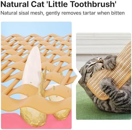 Potaroma Cat Toys Pack of 2 - Image 4
