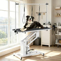 43.3-Inch Large Desktop Hydraulic Pet Grooming Table by Unknown