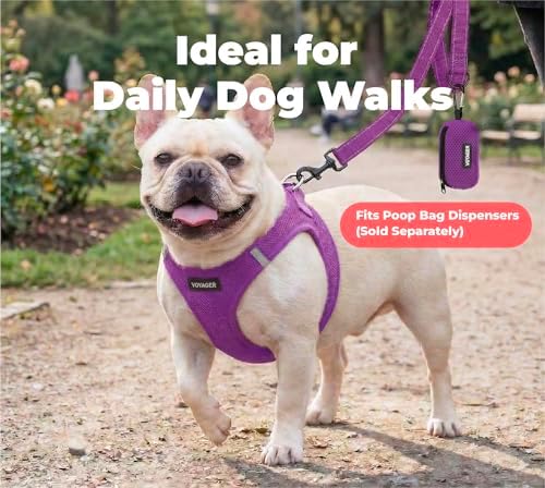 Best Pet Supplies Voyager Nylon Dog Leash - Image 3