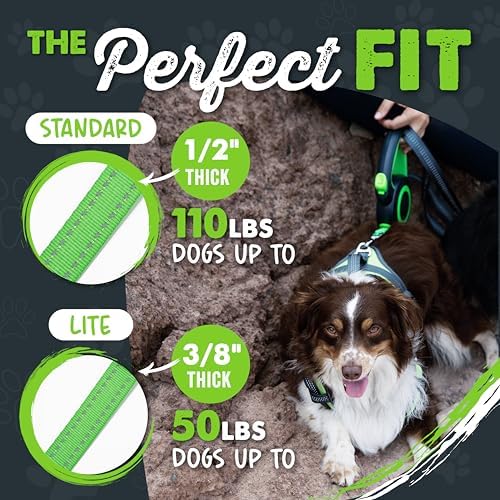 Mighty Paw Retractable Dog Leash 2.0, 16 Ft, - Image 2