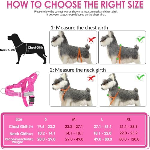 Lukovee No Pull Dog Harness and Leash Set, Soft Padded - Image 5