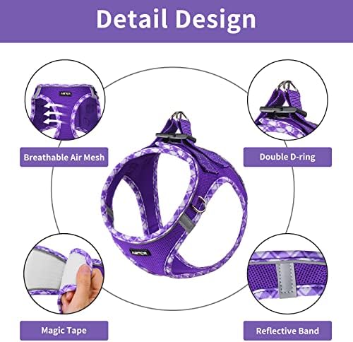 AMTOR Small Dog Harness with Leash Set, No Escape Easy Walk Puppy Harnesses - Image 4