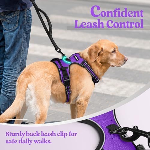 rabbitgoo Dog Harness, No Pull for Small Dogs - Image 6