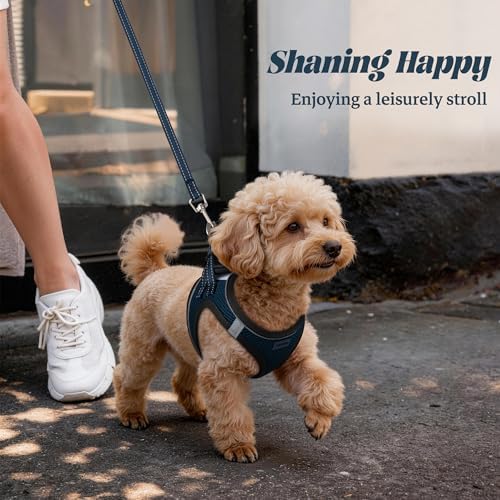 No Pull Dog Puppy Harness and Leash Set Reflective Mesh Vest Medium - Image 6