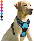 BARKBAY Dog Harness No Pull for Small Sized Dog Front Back Clips, Dog Vest by BARKBAY