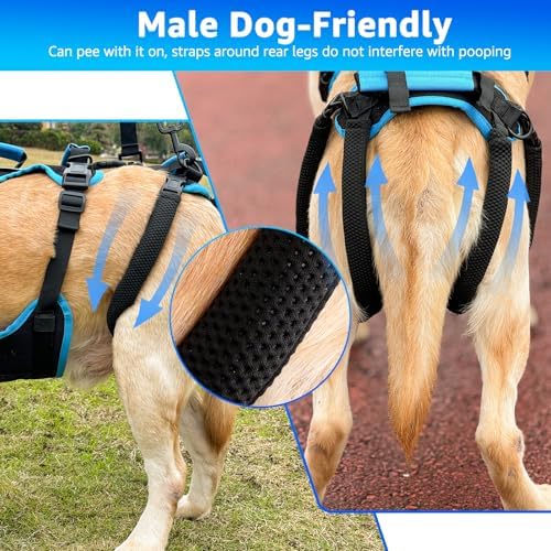 Dog Lift Harness for Large Male Dogs, 2-in-1 Detachable Support Harness - Image 4