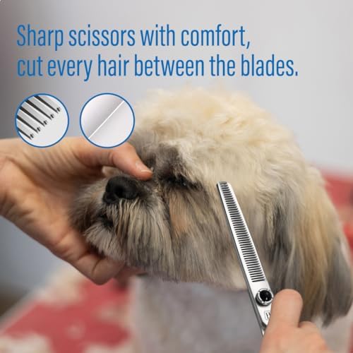 Dog Grooming Scissors: 6.5 inch Pet Blender Shears Made Of Japanese 9CR - Image 3