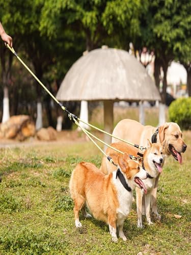 3 Dog Leash for 1-3 Dogs, 360° Swivel, No Tangle - Image 6