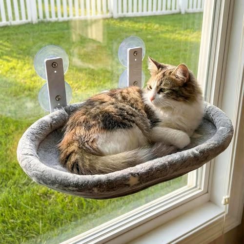 Cat Window Perch Hammock by Unknown