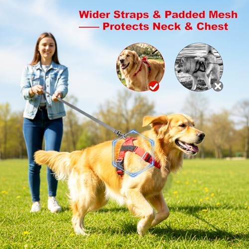 Pawly Lab Co No-Pull Harness, 3-Point Adjustable & Reflective（L） - Image 5
