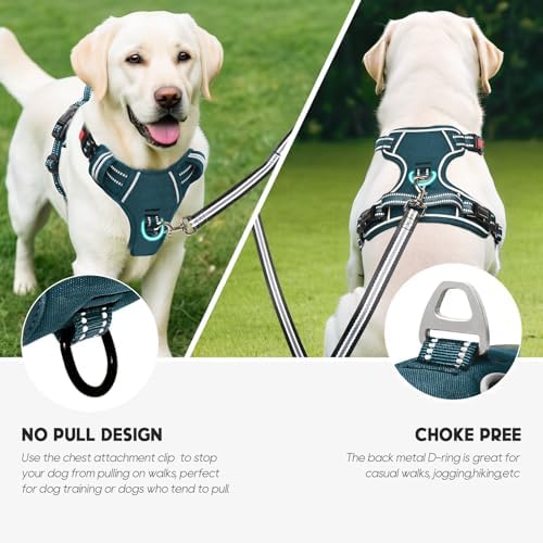 Timos Dog Harness, No Pull Large Sized - Image 5