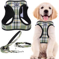PUPTECK Dog Harness, Collar and Leash Set No Pull by PUPTECK