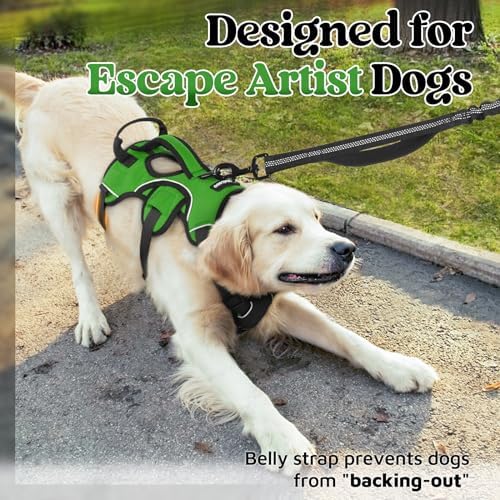 rabbitgoo Escape Proof Dog Harness - Image 2