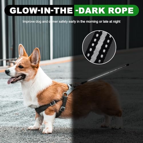 30FT Retractable Dog Leash 30 FT，360° Tangle-Free Dog Walking Leash forMedium - Image 5