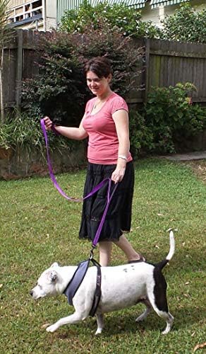 Primal Pet Gear Dog Leash 6ft Long, Traffic Padded Two Handle, Heavy Duty - Image 3