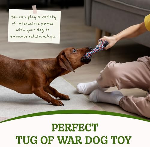 2 Pack Dog Rope Toy for Small Dogs, Durable Cotton Puppy Teething Toys - Image 5