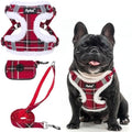 PUPTECK Dog Harness and Leash Set Medium Sized, Step in No Pull Adjustable by PUPTECK