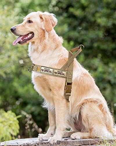 No Pull Dog Harness for Medium Large Dogs, Escape Proof Adjustable Dog Harness - Image 5