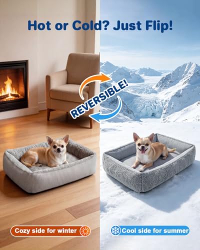 Cooling Dog Bed for Small Medium Dogs - Image 3