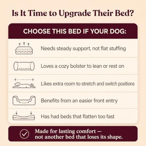 Cooling Orthopedic Dog Bed for Medium Dogs, Memory Foam, Washable Cover - Image 4