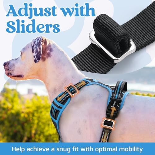 rabbitgoo Dog Harness for Large, No Pull 3 Buckles Easy On & Off - Image 5