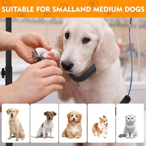 Adjustable Dog Grooming Arm - Image 6