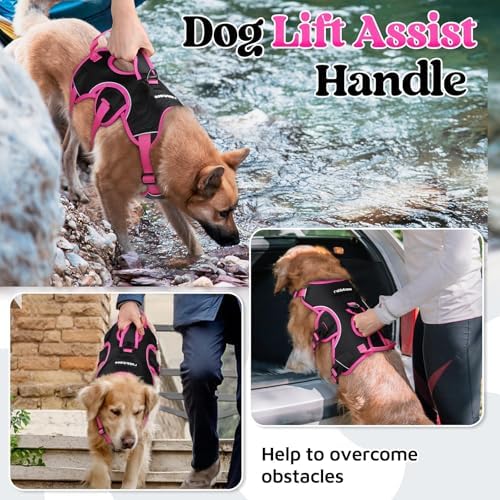rabbitgoo Escape Proof Dog Harness - Image 3