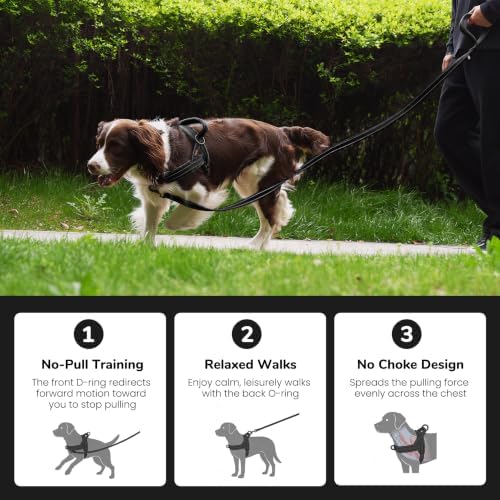 Didog No Pull Dog Harness for Medium Dogs, Soft Flannel Padded - Image 4