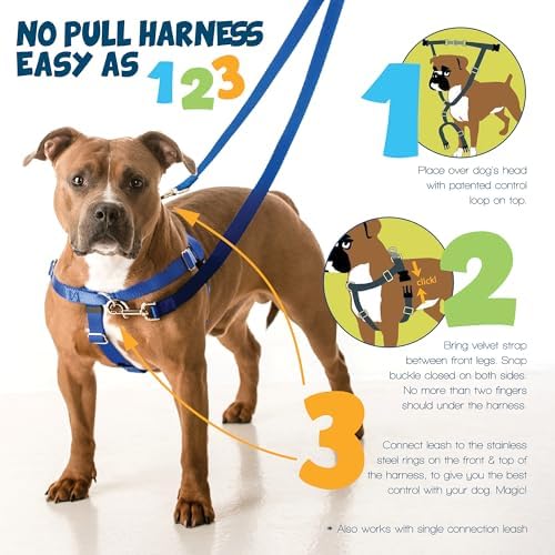 2 Hounds Design - Image 3