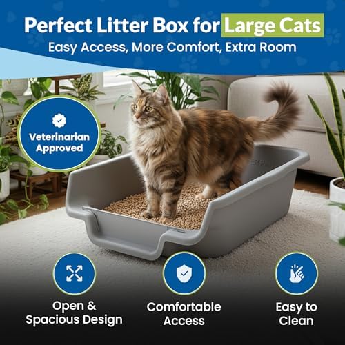 KittyGoHere Senior Cat Litter Box, Cat Litter Pan - Image 2