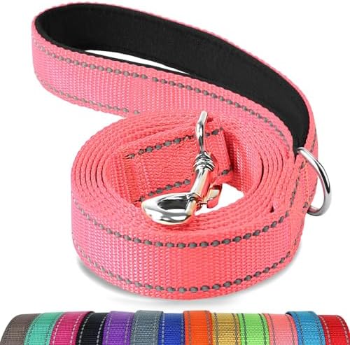 Joytale Reflective Dog Leash for Medium & Large Dogs, 5 FT x 1", Neon Pink by Joytale