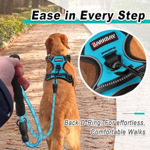 BARKBAY Dog Harness for Medium Sized Dog No Pull 2 Leash Clips Dog Vest - Image 3