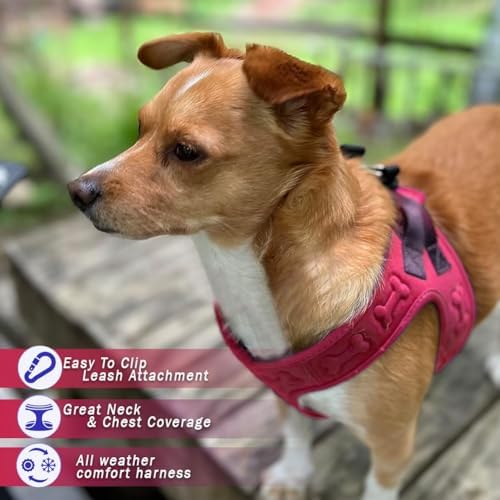 Comfort Fit Dog Harness Step in No Pull Harness - Image 2