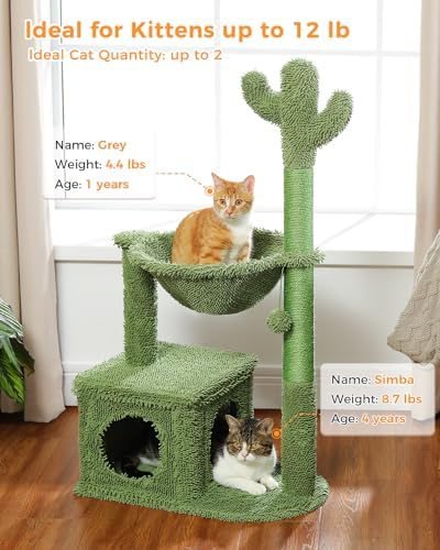 MUTTROS 40" Cactus Cat Tree - Image 5
