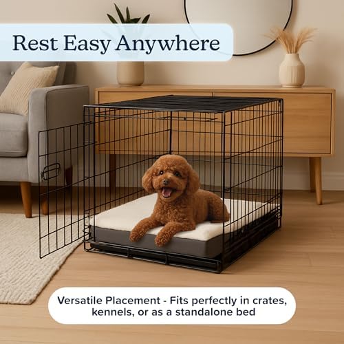 Orthopedic Dog Bed - Image 6