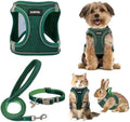 GAMUDA Small Pet Harness Collar and Leash Set, Step in No Chock No Pull Linen by GAMUDACollarsCollection