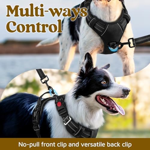 rabbitgoo Dog Harness Small Sized, No Pull 3 Buckles Easy On & Off - Image 3