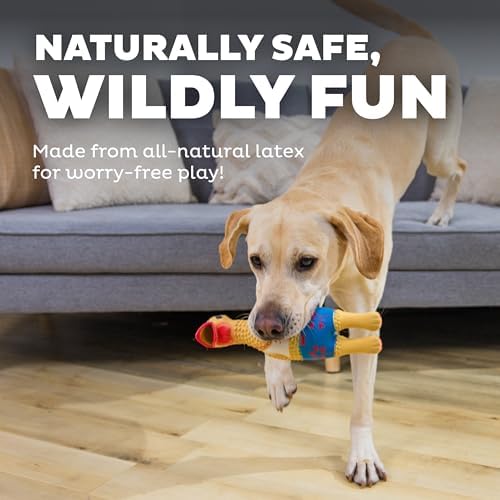 Outward Hound Squawkers Squeaky Latex Dog Toy - Image 4