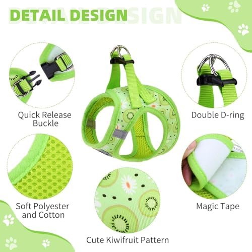 KOOLTAIL Dog Harness and Leash Set - Image 2