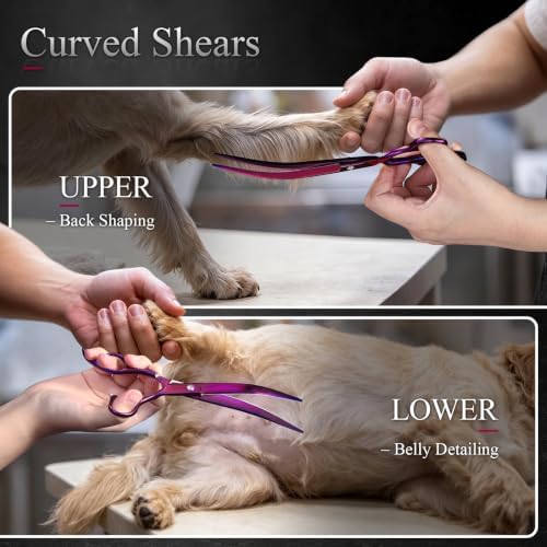 Purple Dragon 8.0 inch Professional Pet Grooming Scissors - Image 5