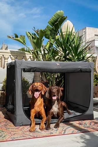 Noah & Paw XXL Collapsible Dog Crate, Soft Sided Dog Crate 900D Oxford - Image 2
