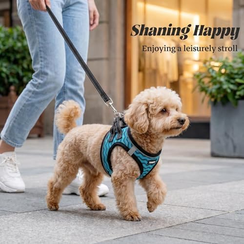 No Pull Dog Puppy Harness and Leash Set Reflective Mesh Vest Small - Image 6