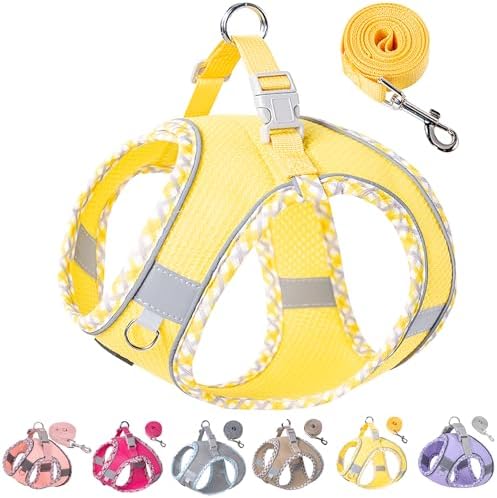 Petank Step in Dog Harness No Pull and Leash by PetankCareforEveryPaw