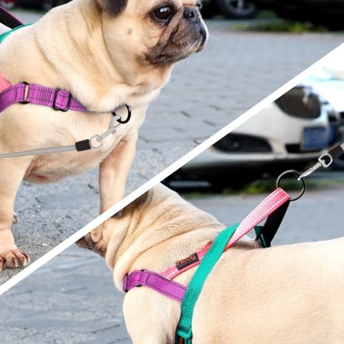 Didog No Pull Dog Harness for Small Dogs, Soft Padded Handle, Dark Green - Image 3